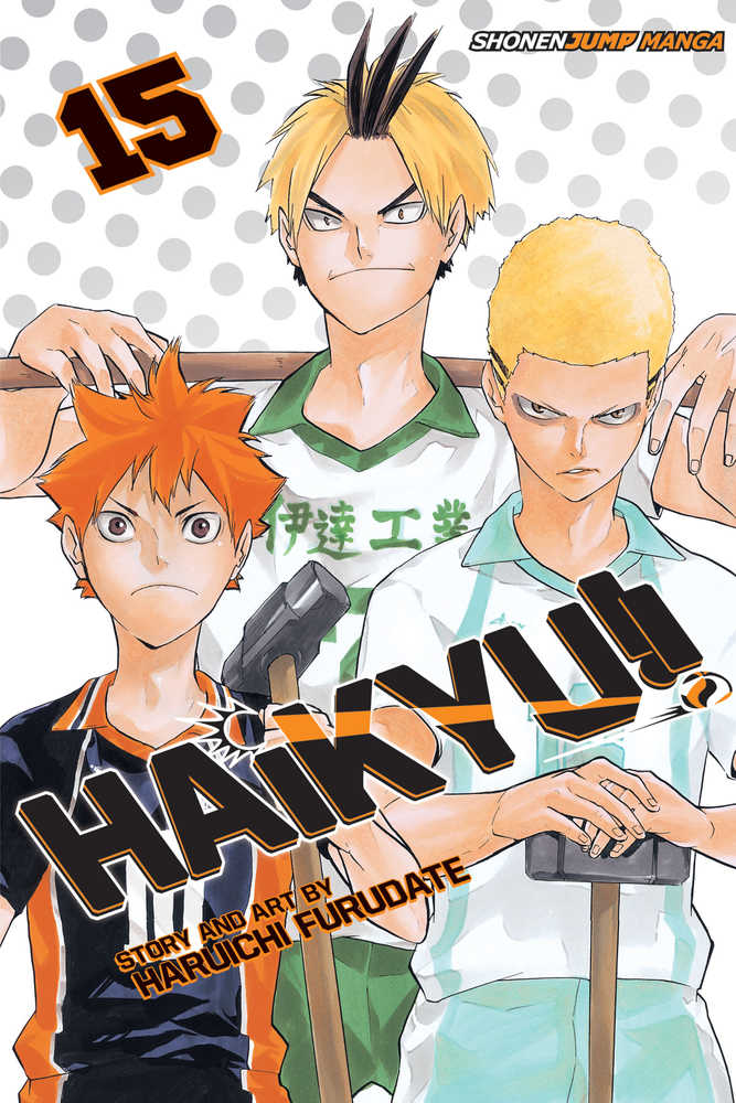 Haikyu Graphic Novel Volume 15