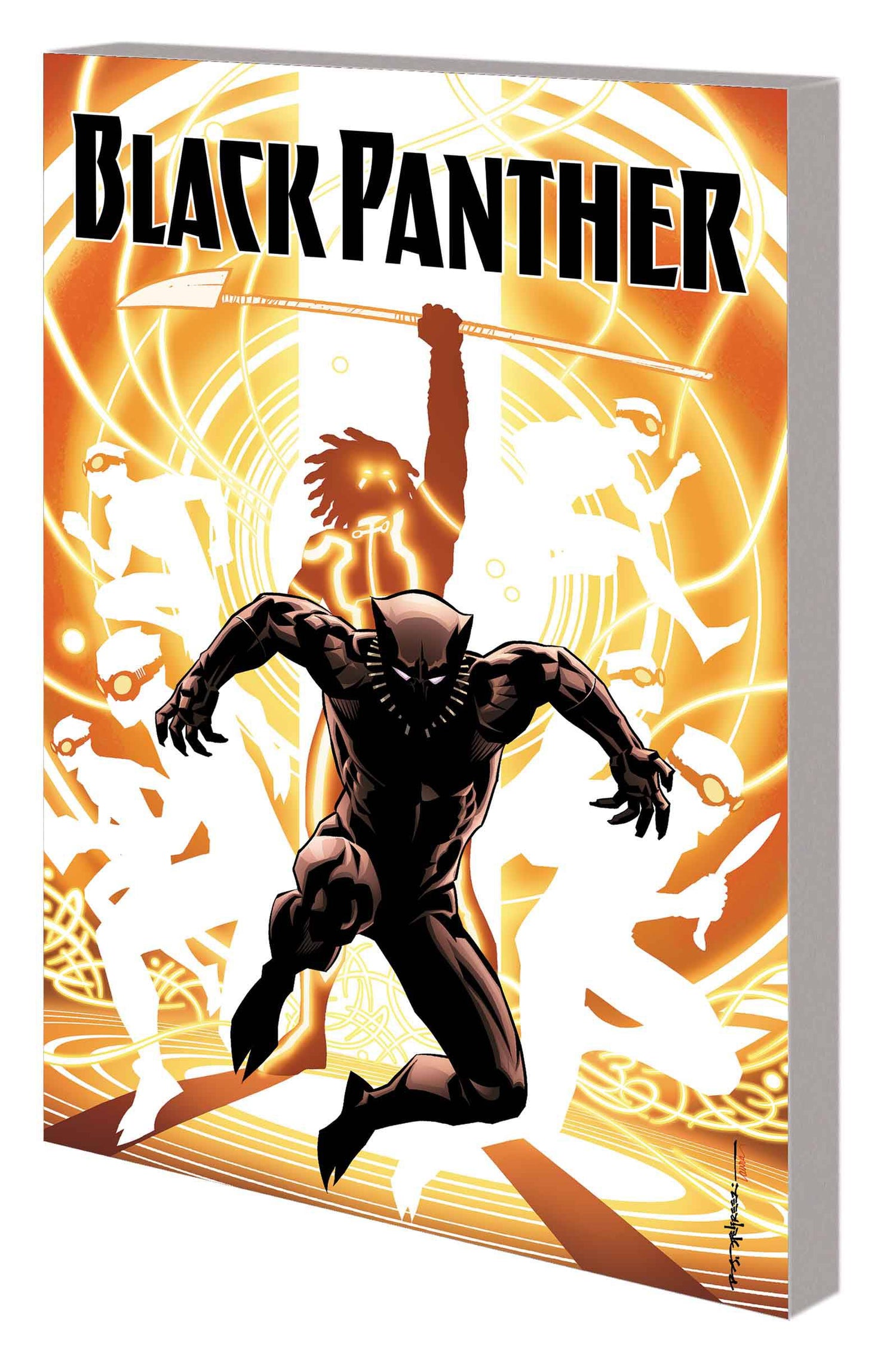 Black Panther Book 02 Nation Under Our Feet
