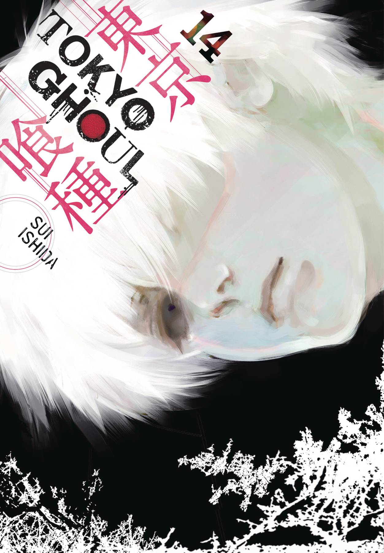 Tokyo Ghoul Vol. 14 (C: 1-0-1)